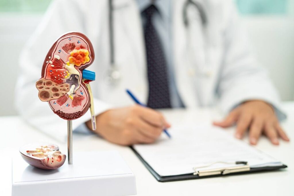 Best Kidney Specialist in Delhi NCR